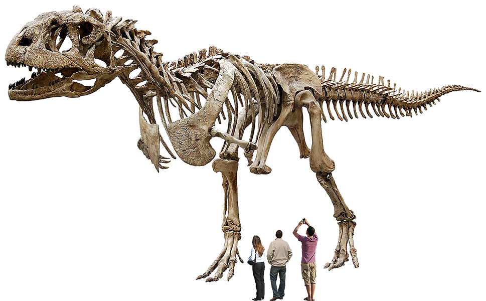 dinasaur1